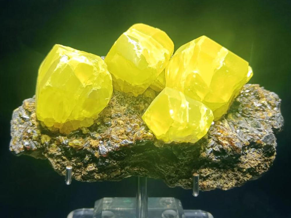 Free Bootstrap Template 