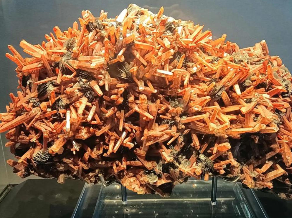 Free Bootstrap Template 